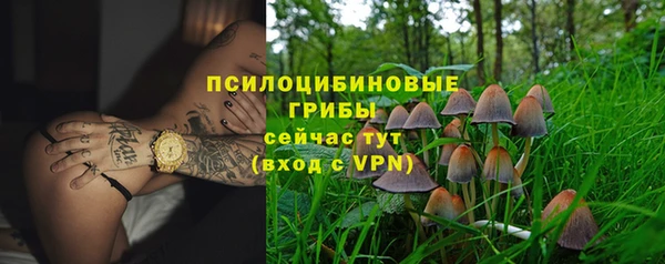 прущие грибы Баксан