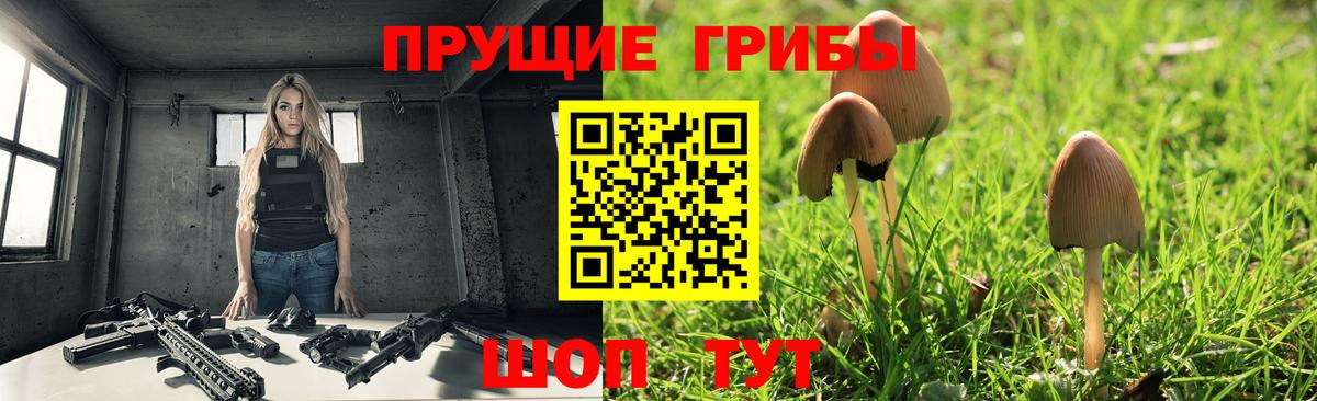 Радужный  Псилоцибиновые грибы Psilocybine cubensis  Вход с VPN 